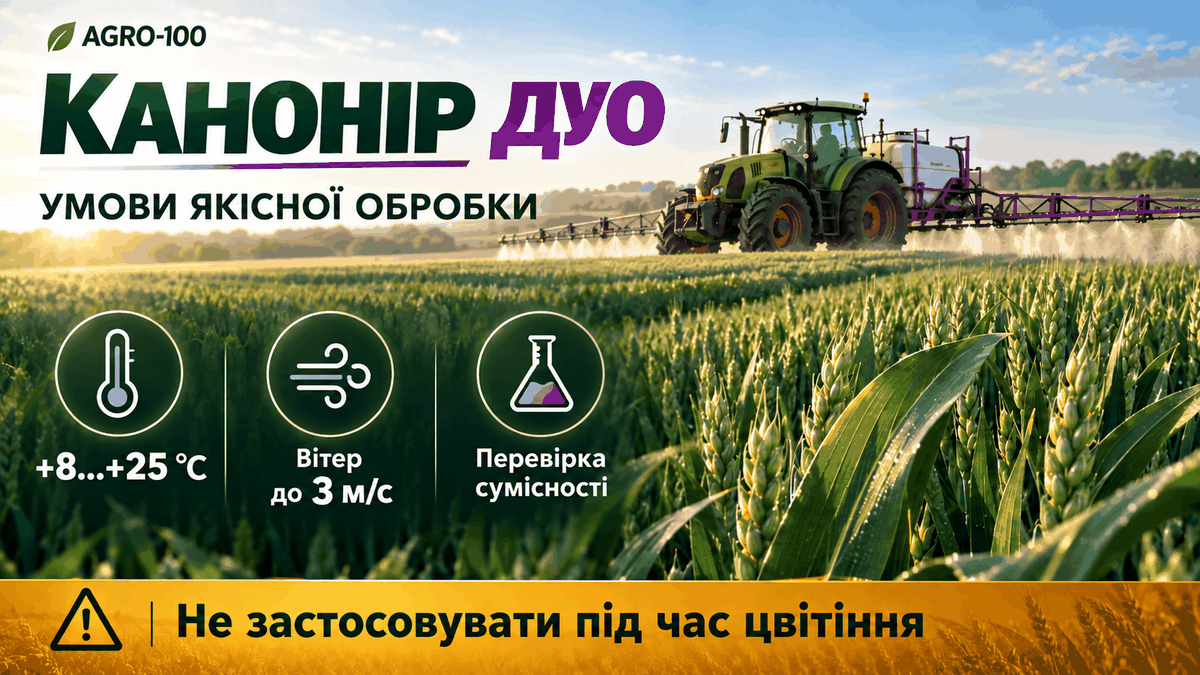 Умови внесення Канонір Дуо: +8…+25 °C, вітер до 3 м/с, перевірка сумісності та заборона обробки під час цвітіння